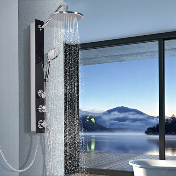 Frameless Shower Panel